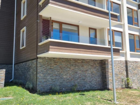 Departamento nuevo en pucon